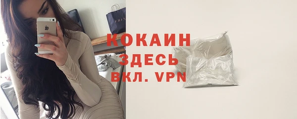 apvp Козельск