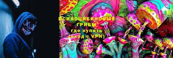 apvp Козельск
