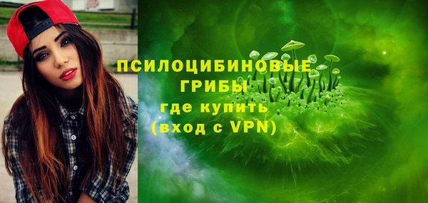 бутират Козловка