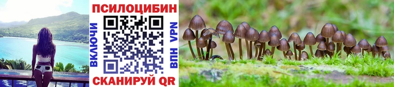 Галлюциногенные грибы MAGIC MUSHROOMS Билибино